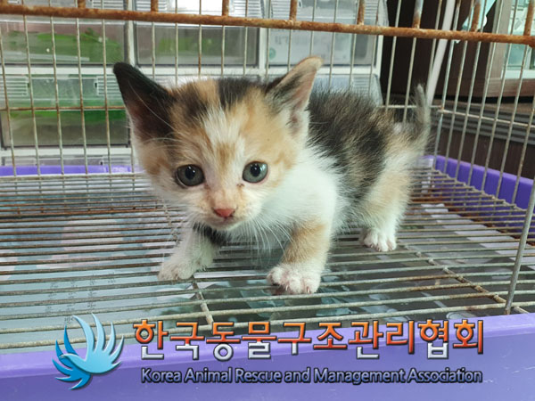 종료(자연사) 한국…